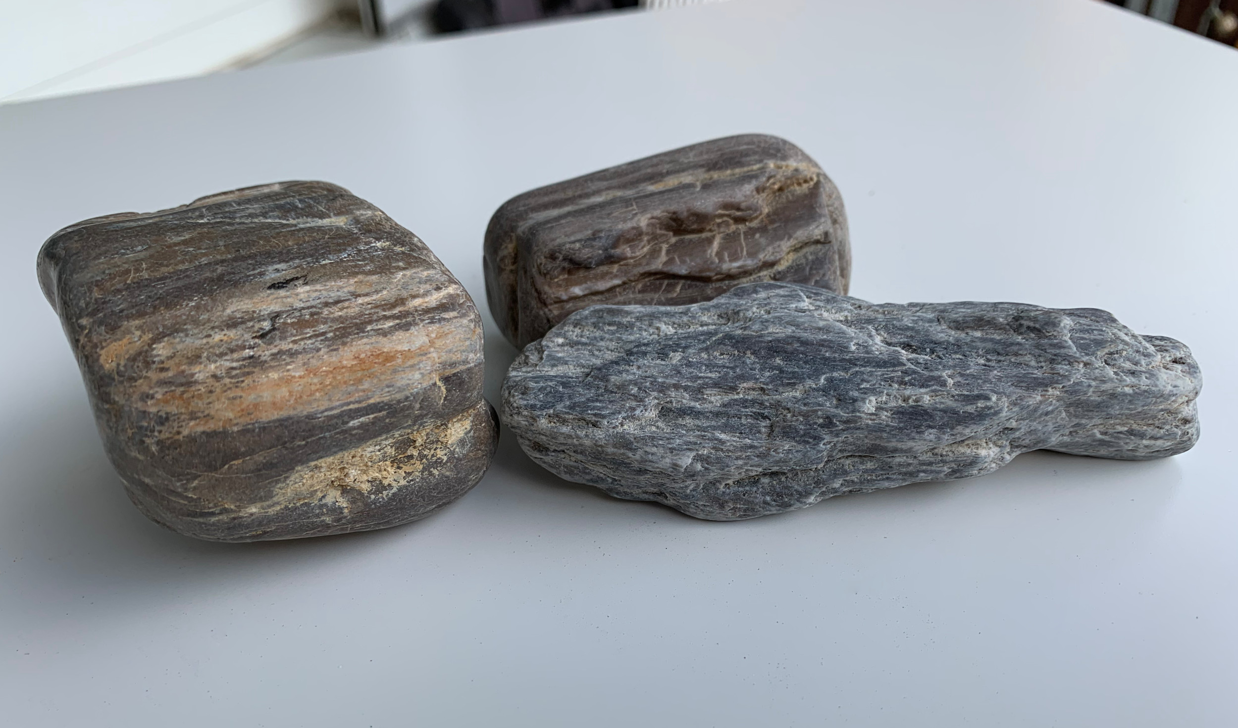 fossiles, versteinertes Holz • 1 kg  • Rohsteine, unbehandelt 