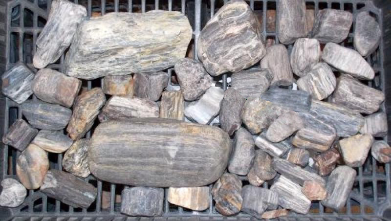 fossiles, versteinertes Holz • 1 kg  • Rohsteine, unbehandelt 